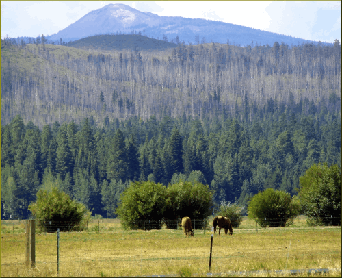 Thing To Do Horseback Riding